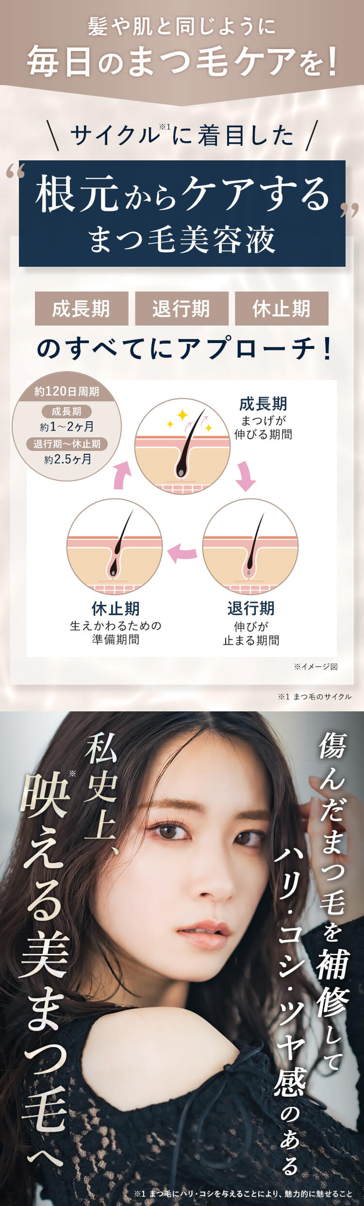 毛周期に着目