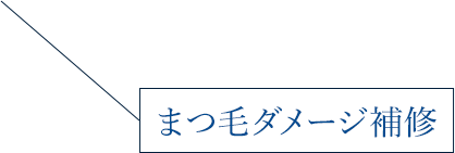 ダメージ補修