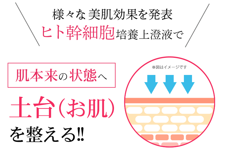 ヒト幹細胞培養液で肌本来の状態へ