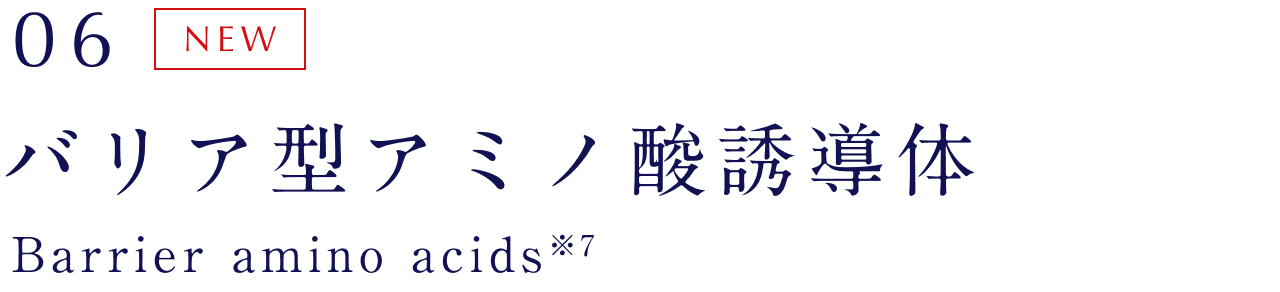 06 バリア型アミノ酸 NEW