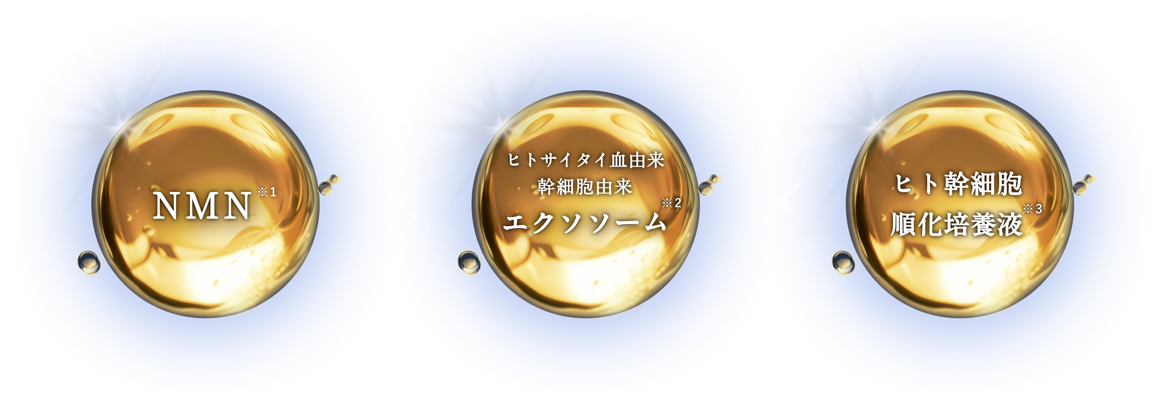 NMN※1×ヒトサイタイ血由来幹細胞由来エクソソーム※2×ヒト幹細胞培養上清液※3