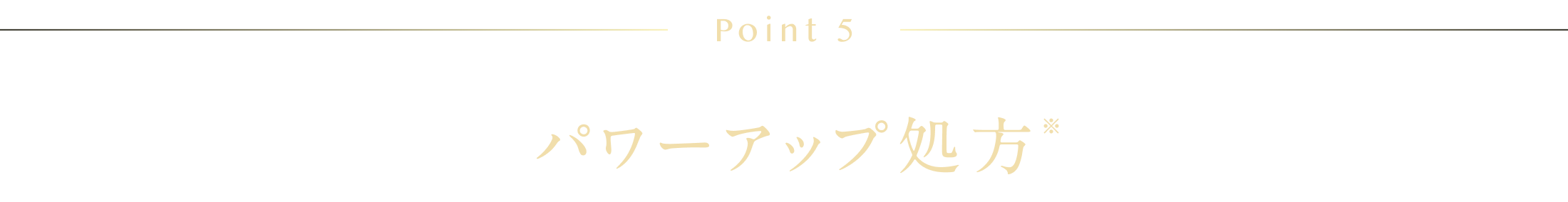 Point5 パワーアップ処方※