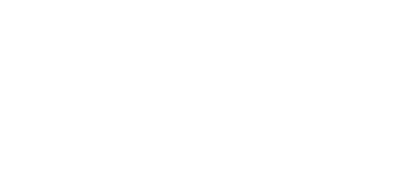 高濃度※2