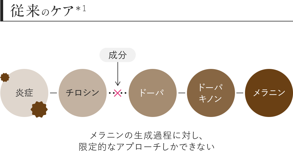 従来のケア メラニンの生成過程に対し限定的なアプローチしかできない
