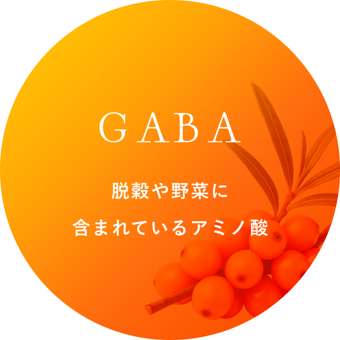 GABA 脱穀や野菜に含まれているアミノ酸