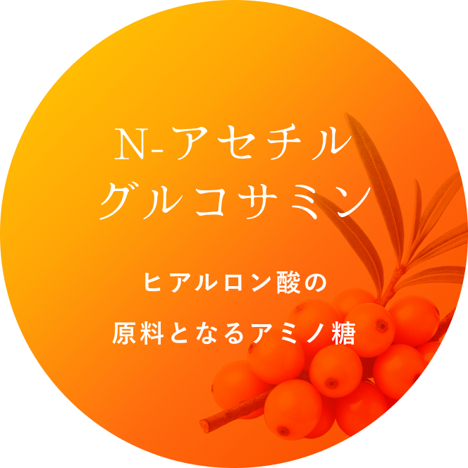 N-アセチルグルコサミン ヒアルロン酸の原料となるアミノ糖