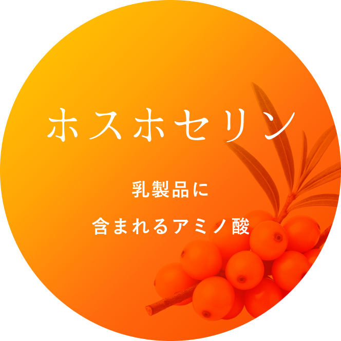 ホスホセリン 乳製品に含まれるアミノ酸