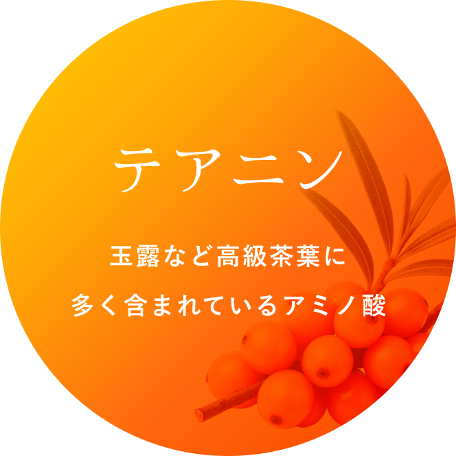 テアニン　玉露など高級茶葉に多く含まれているアミノ酸