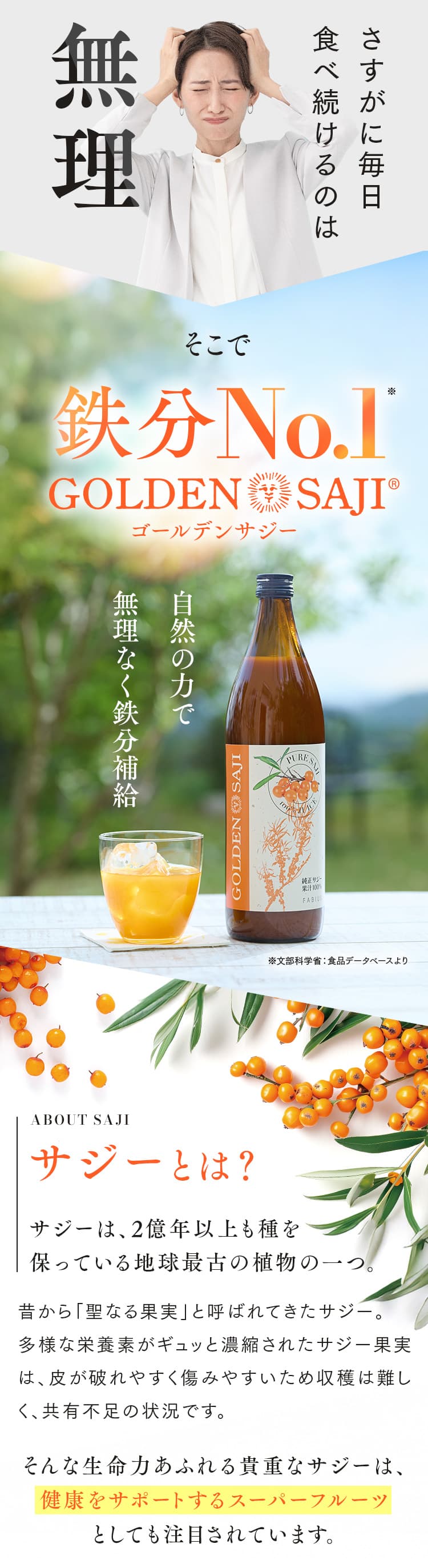 そこで鉄分NO.1ゴールデンサジー