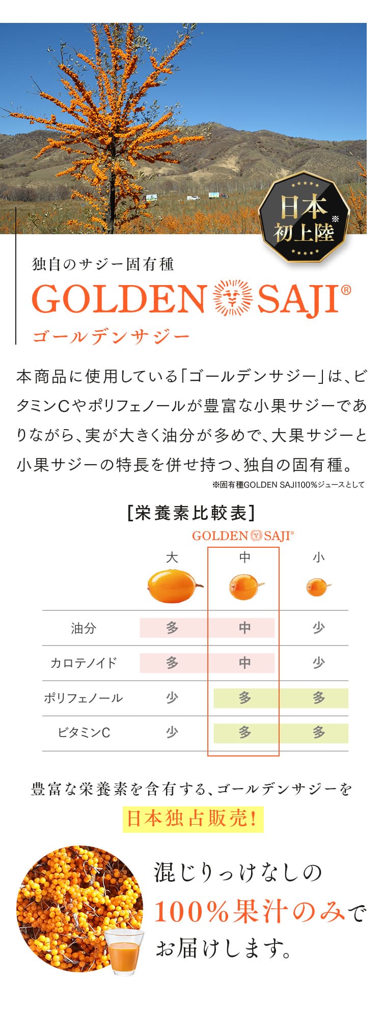 独自のサジー固有種ゴールデンサジー