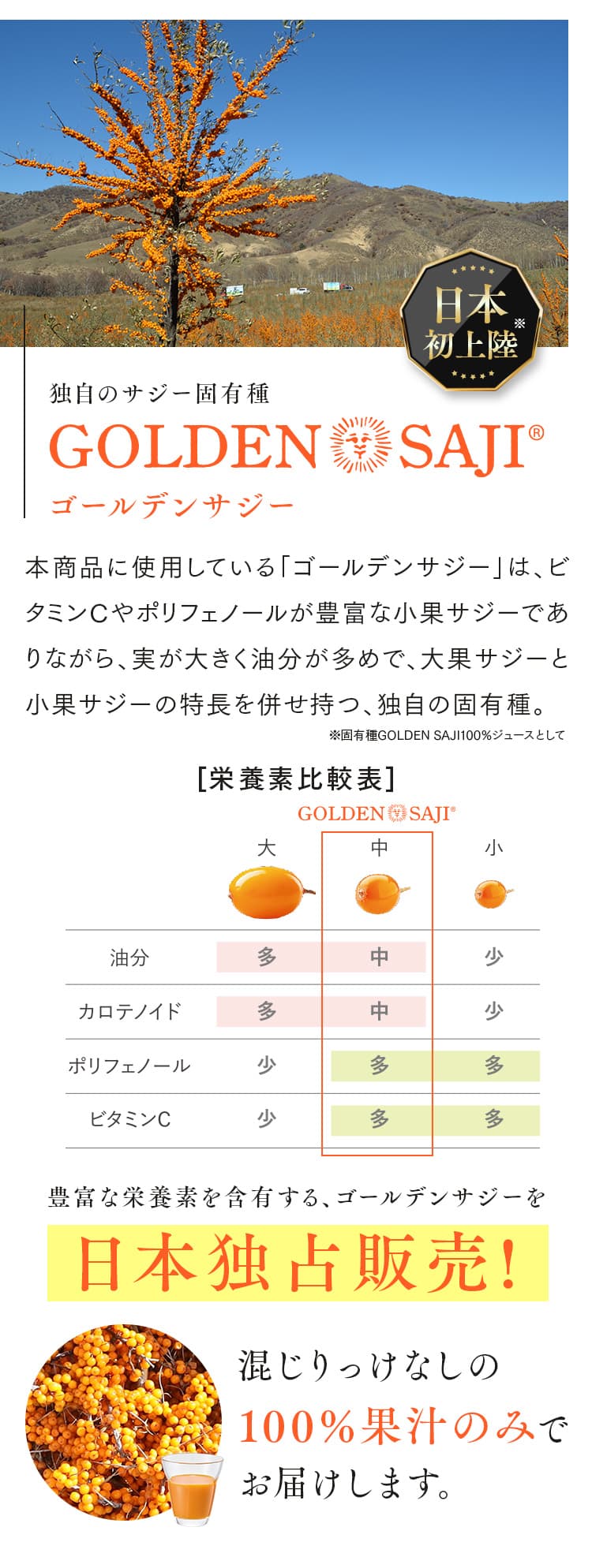独自のサジー固有種ゴールデンサジー