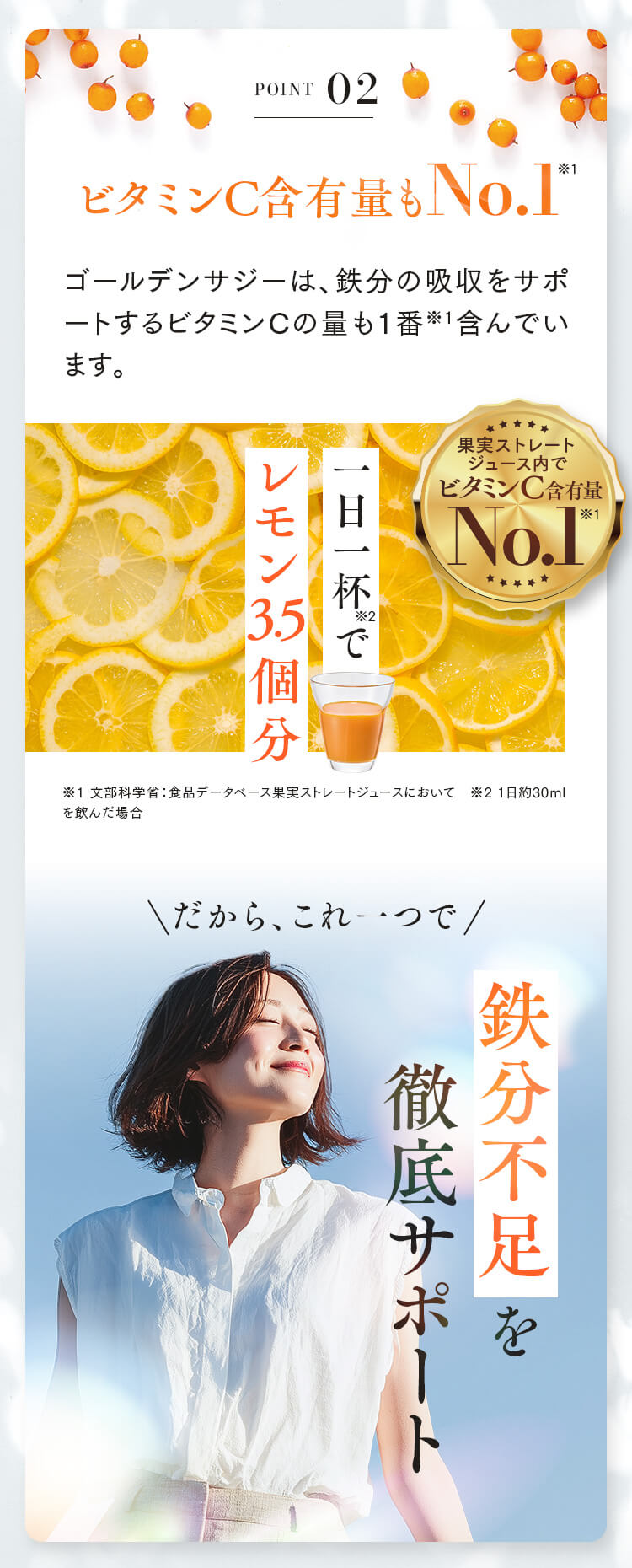 おすすめポイント２