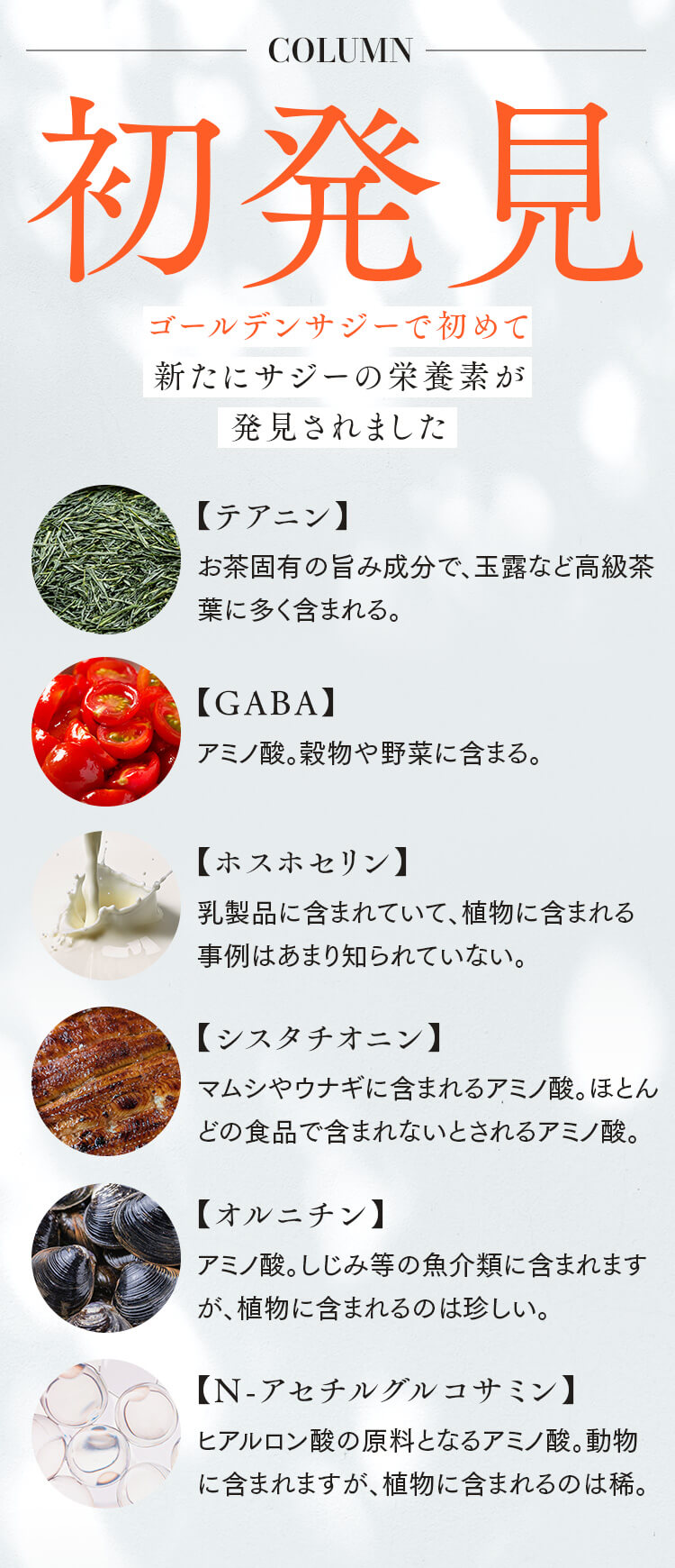 初発見の栄養素