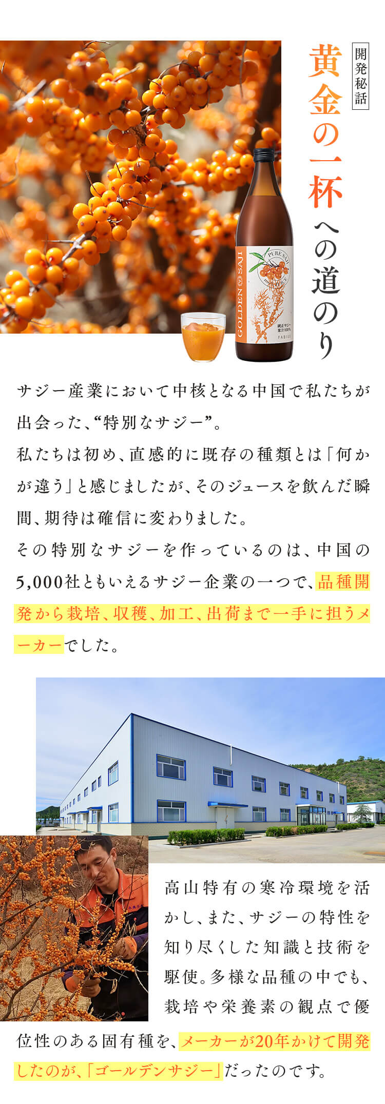 黄金の一杯への道のり