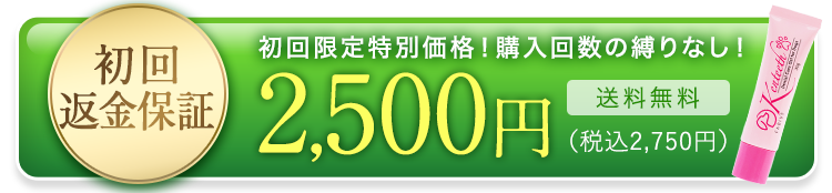 初回50%OFFで申し込む