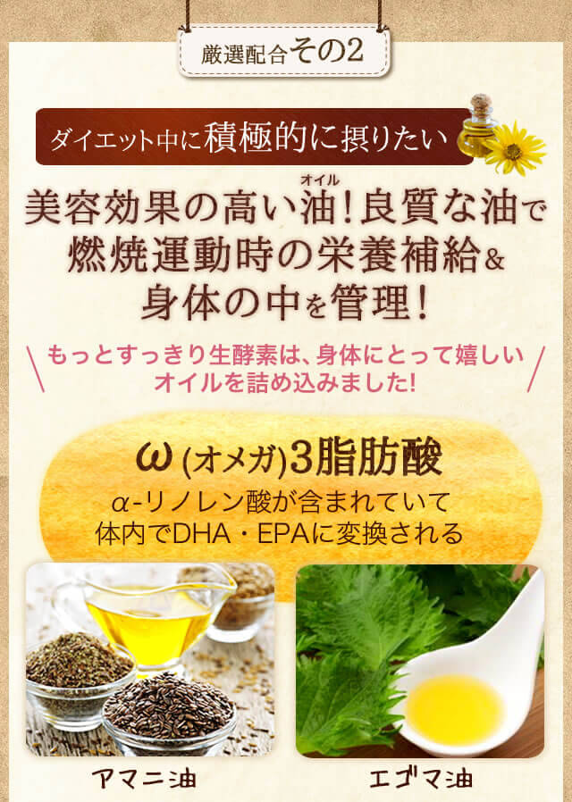 厳選配合その2 美容効果の高いオイル!良質な油で燃焼運動時の栄養補給&身体の中を管理! オメガ3脂肪酸