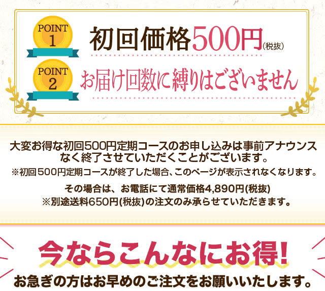 初回価格500円 安心の返金保証付き こんなチャンスは今だけ!