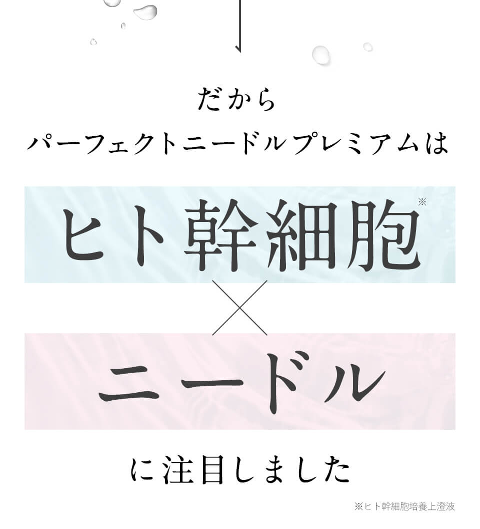 注目しました