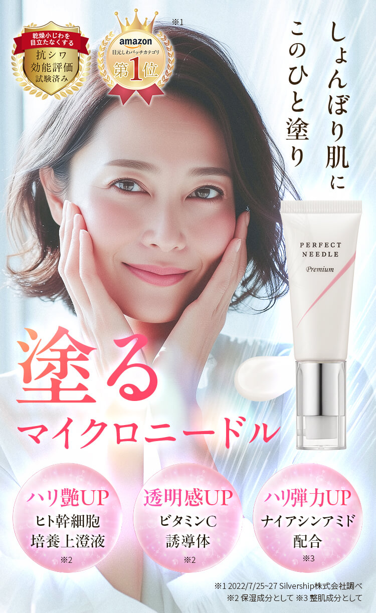 モデルfv