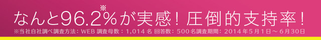 圧倒的実感率!なんと96.2%が実感!