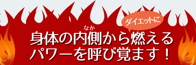 身体の内側(なか)から燃焼パワーを呼び覚ます!