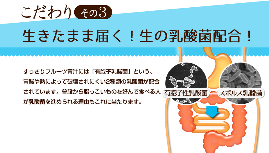 こだわりその3 生きたまま届く！生の乳酸菌配合！